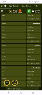 Screenshot_2022_1204_180211.jpg