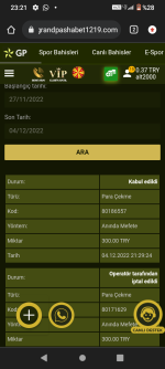 Screenshot_20221204-232122.png