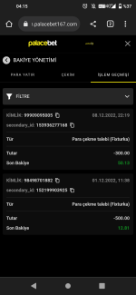 Screenshot_20221209-041508.png
