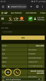 Screenshot_20221212-011309_Chrome.jpg