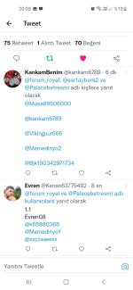 Screenshot_20221213-200339_Twitter.jpg