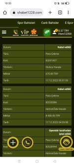 Screenshot_2022-12-17-18-30-48-02_40deb401b9ffe8e1df2f1cc5ba480b12.jpg