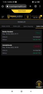 Screenshot_2022-12-18-11-09-33-237_com.android.chrome.jpg