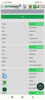 Screenshot_2022-12-27-23-38-01-513_com.android.chrome.jpg