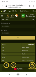 Screenshot_20221229-064635.png