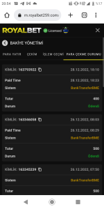 Screenshot_20221229-205419.png