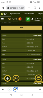 Screenshot_20221229-221006.png