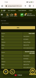Screenshot_2022-12-30-17-44-17-898_com.android.chrome.jpg