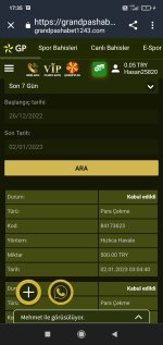 Screenshot_2023-01-02-17-35-11-383_com.android.chrome.jpg