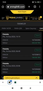 Screenshot_2023-01-16-19-24-29-677_com.android.chrome.jpg