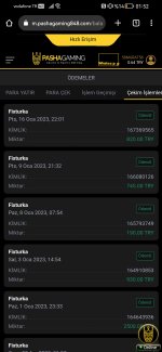 Screenshot_20230117_015207_com.android.chrome.jpg