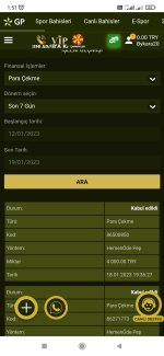 Screenshot_2023-01-19-01-51-03-743_com.android.chrome.jpg