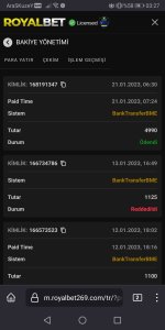 Screenshot_20230122_032742_org.mozilla.firefox.jpg