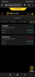 Screenshot_2023-01-24-23-24-28-438_com.android.chrome.jpg