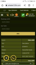 Screenshot_20230129-005359_Chrome.jpg