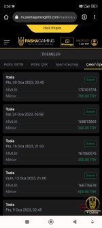 Screenshot_2023-01-31-03-53-28-448_com.android.chrome.jpg