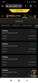 Screenshot_2023-02-09-16-17-52-091_com.android.chrome.jpg