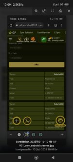Screenshot_2023-02-13-10-09-12-646_com.android.chrome.jpg