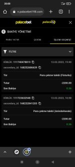 Screenshot_2023-02-13-20-00-01-107_com.android.chrome.jpg