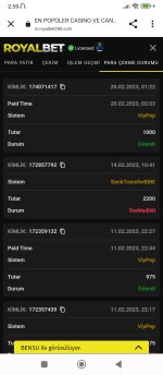 Screenshot_2023-02-20-02-59-42-547_com.android.chrome.jpg
