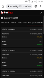 Screenshot_2022-04-03-00-42-29.png