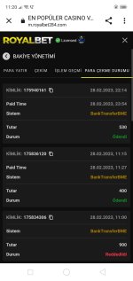 Screenshot_2023-03-01-11-20-32-40.jpg