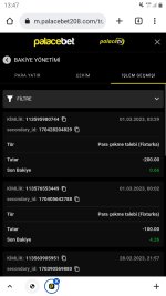 Screenshot_20230301-134709_Chrome.jpg