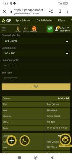 Screenshot_2023-03-03-12-11-55-134_com.android.chrome.jpg