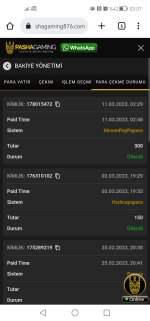 Screenshot_20230311_030710_com.android.chrome.jpg
