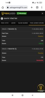 Screenshot_2023-03-11-09-56-25-522_com.android.chrome.jpg