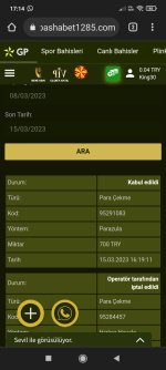 Screenshot_2023-03-15-17-14-17-573_com.android.chrome.jpg