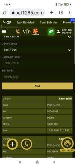 Screenshot_2023-03-16-01-56-06-500_com.android.chrome.jpg