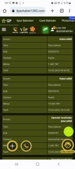 Screenshot_20230316-131308_Chrome.jpg