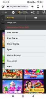 Screenshot_2023-03-17-11-47-59-176_com.android.chrome.jpg