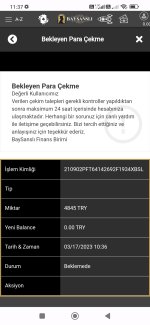 Screenshot_2023-03-17-11-37-22-639_com.android.chrome.jpg