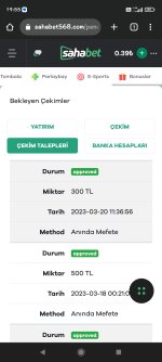 Screenshot_2023-03-20-19-55-25-498_com.android.chrome.jpg