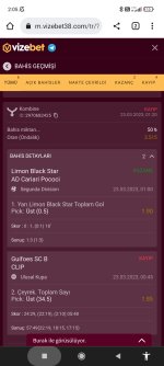 Screenshot_2023-03-23-02-05-24-985_com.android.chrome.jpg