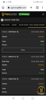 Screenshot_20230325_082920_com.android.chrome.jpg
