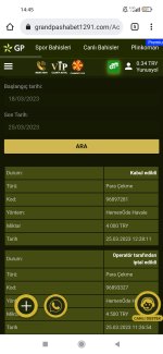 Screenshot_2023-03-25-14-45-45-135_com.android.chrome.jpg