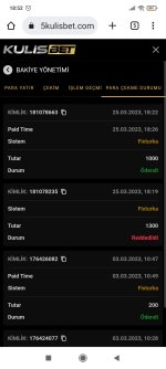 Screenshot_2023-03-25-18-52-35-645_com.android.chrome.jpg