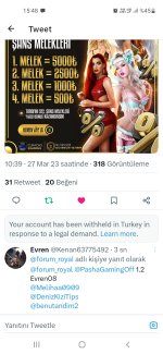 Screenshot_20230327-154853_Twitter.jpg