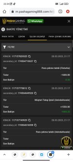 Screenshot_2023-03-28-22-34-29-902_com.android.chrome.jpg