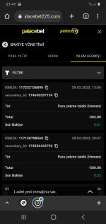 Screenshot_20230329-214155_Chrome.jpg