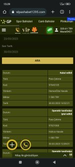 Screenshot_2023-03-30-15-29-15-955_com.android.chrome.jpg