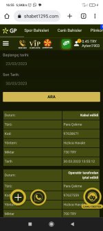 Screenshot_2023-03-30-16-55-25-964_com.android.chrome.jpg