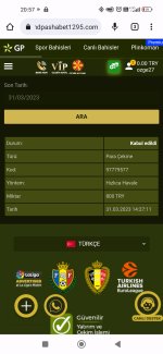 Screenshot_2023-03-31-20-57-06-794_com.android.chrome.jpg