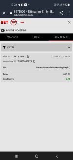 Screenshot_20230403-172112_Chrome.jpg