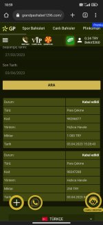 Screenshot_2023-04-03-18-59-59-335_com.android.chrome.jpg