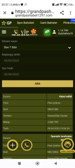 Screenshot_2023-04-05-20-37-31-877_com.android.chrome.jpg