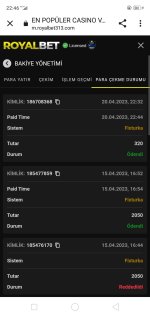 Screenshot_2023-04-20-22-46-04-14.jpg